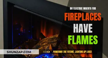 Electric Fireplace Inserts: Realistic Flames or Gimmick?