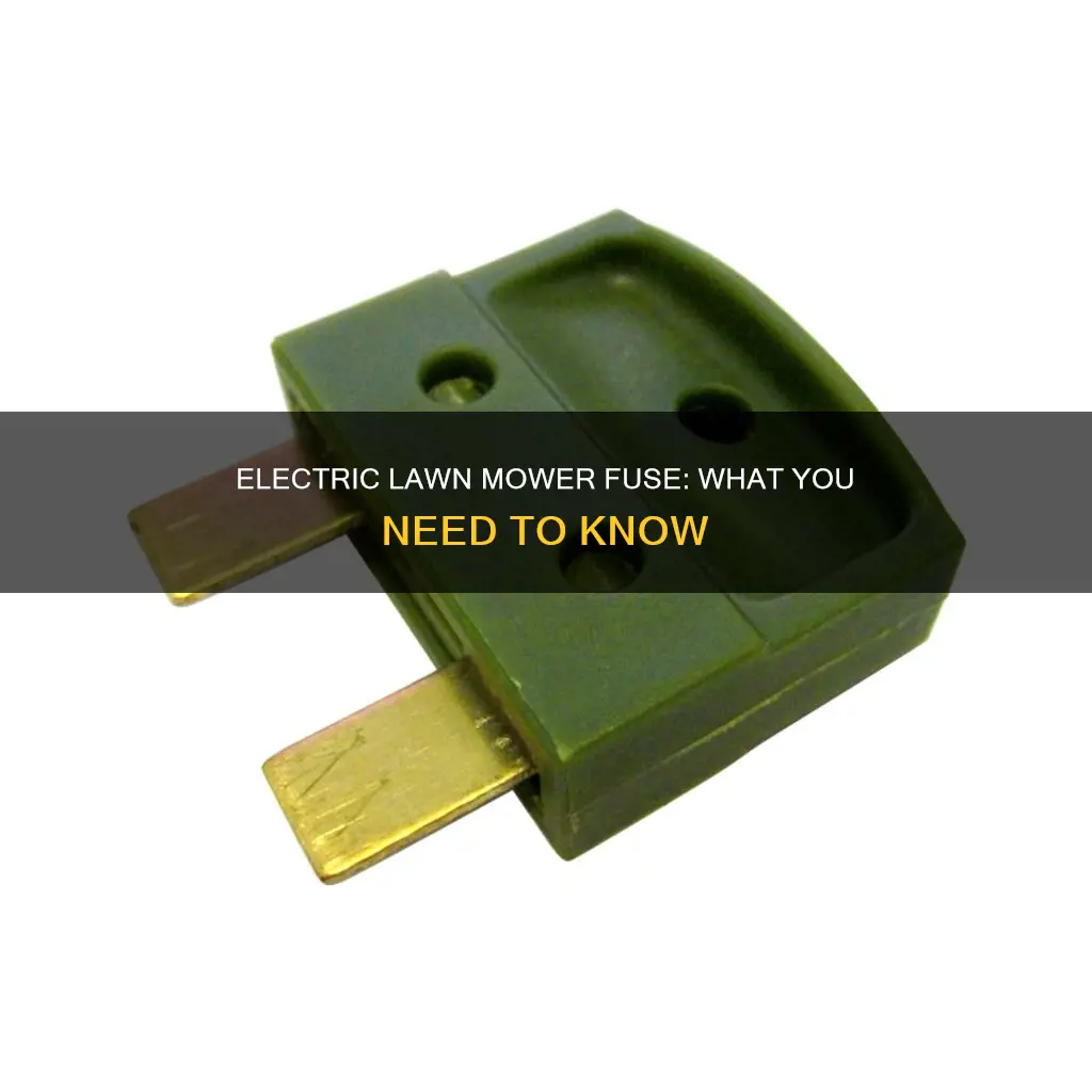 do electric lawn mowers have a fuse