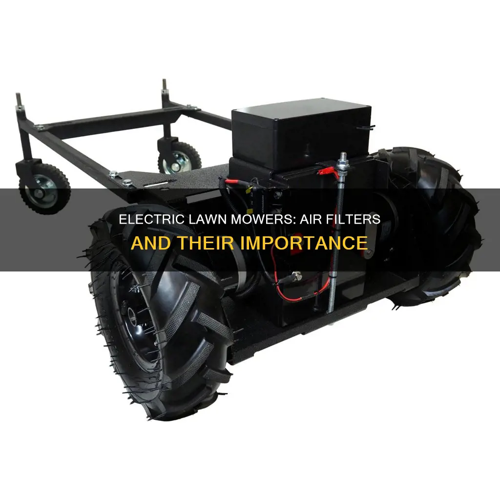 do electric lawn mowers have air filters