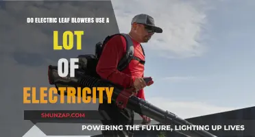 Electric Leaf Blowers: Uncovering Their Electricity Usage and Efficiency