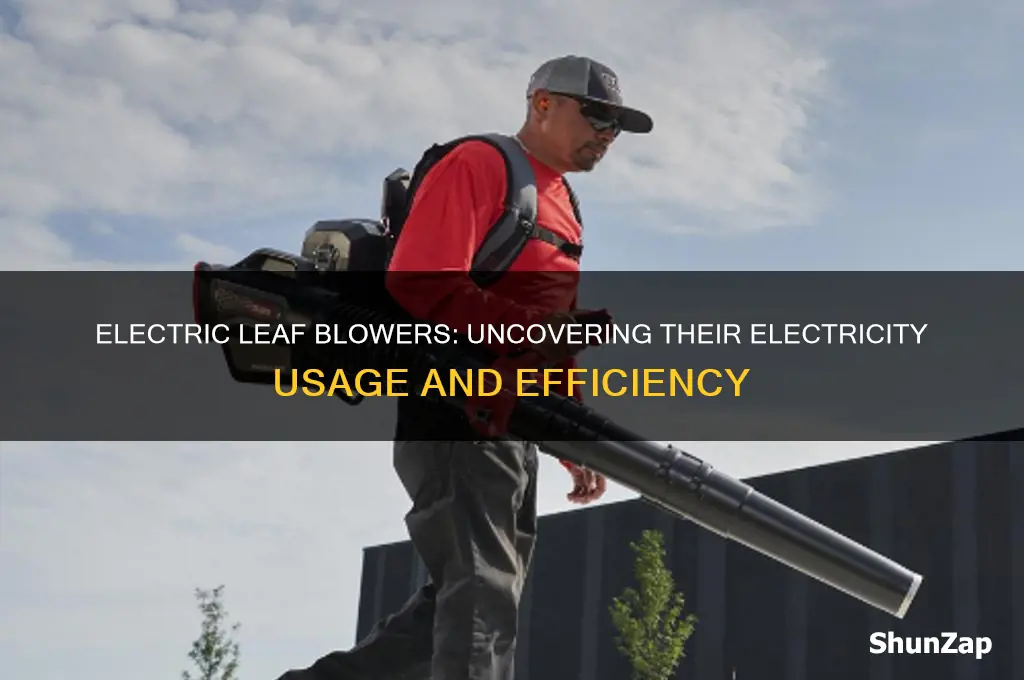 do electric leaf blowers use a lot of electricity
