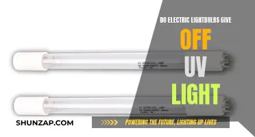 Electric Bulbs and UV Light: What's the Connection?
