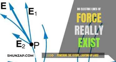 Electric Force Lines: Myth or Reality?