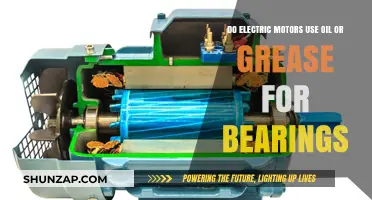 Electric Motor Bearings: Oil or Grease for Optimal Performance?