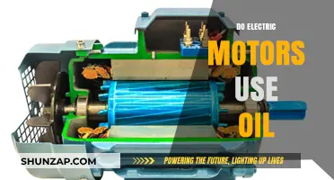 Electric Motors and Oil: Do They Really Need Lubrication?