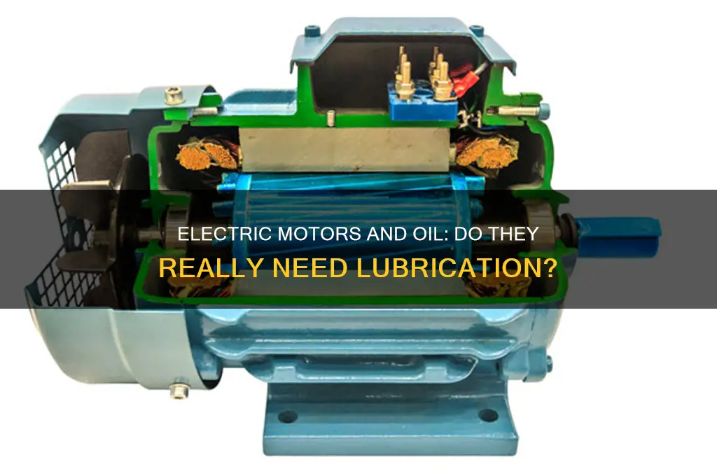 do electric motors use oil