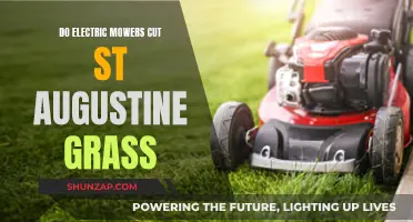 Electric Mowers: Effective for St. Augustine Grass?