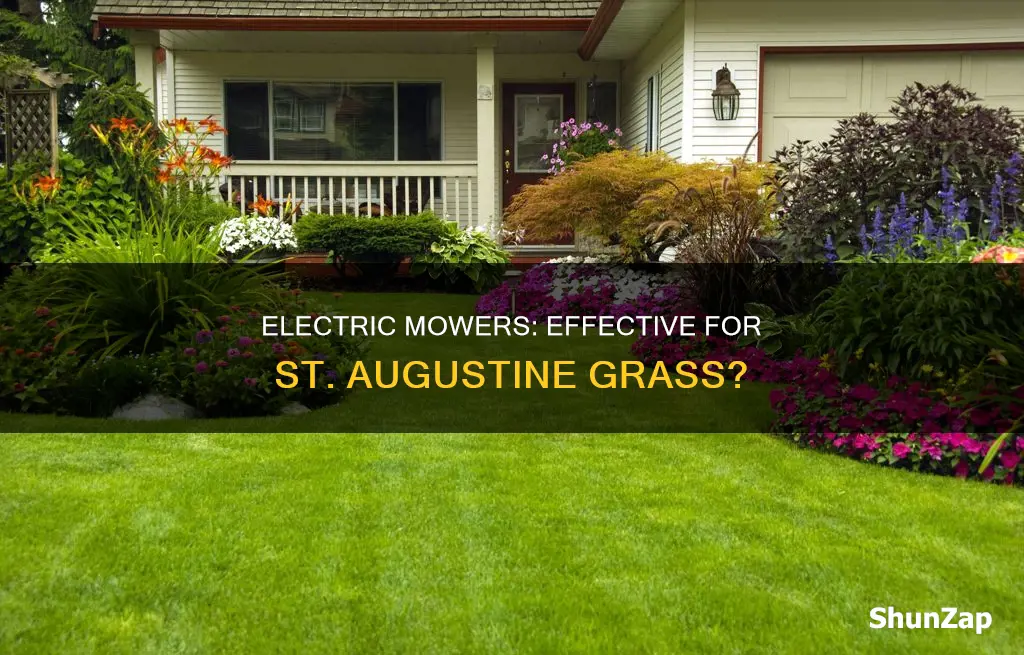 do electric mowers cut st augustine grass
