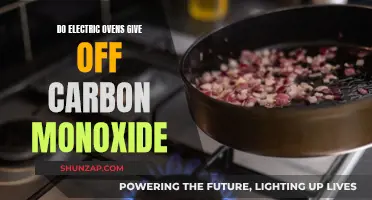 Electric Ovens and Carbon Monoxide: What's the Real Danger?