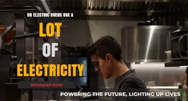 Electric Ovens: Energy Consumption and Cost-Saving Tips Revealed