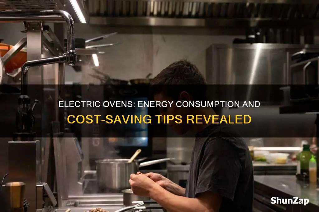 do electric ovens use a lot of electricity