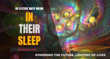 Electric Sheep Dreams: Do Androids Dream in Electric Sleep?