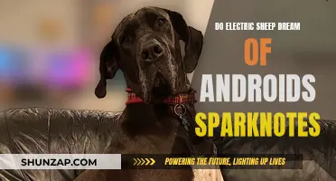 Electric Sheep's Dream: Androids and Their Sparknotes