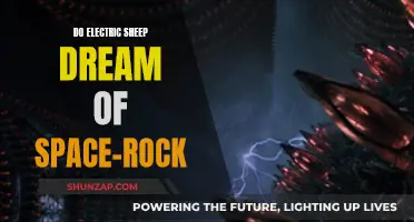 Electric Sheep Dreaming of Space-Rock: A Cosmic Odyssey