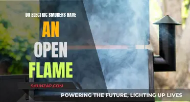Electric Smokers: Open Flame or Not?