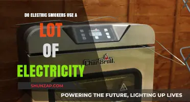 Electric Smoker Energy Efficiency: How Much Electricity Do They Consume?