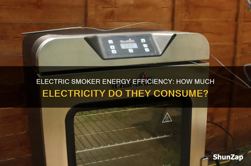 do electric smokers use a lot of electricity
