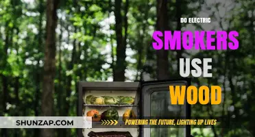 Electric Smokers and Wood: Unraveling the Smoking Technique Mystery