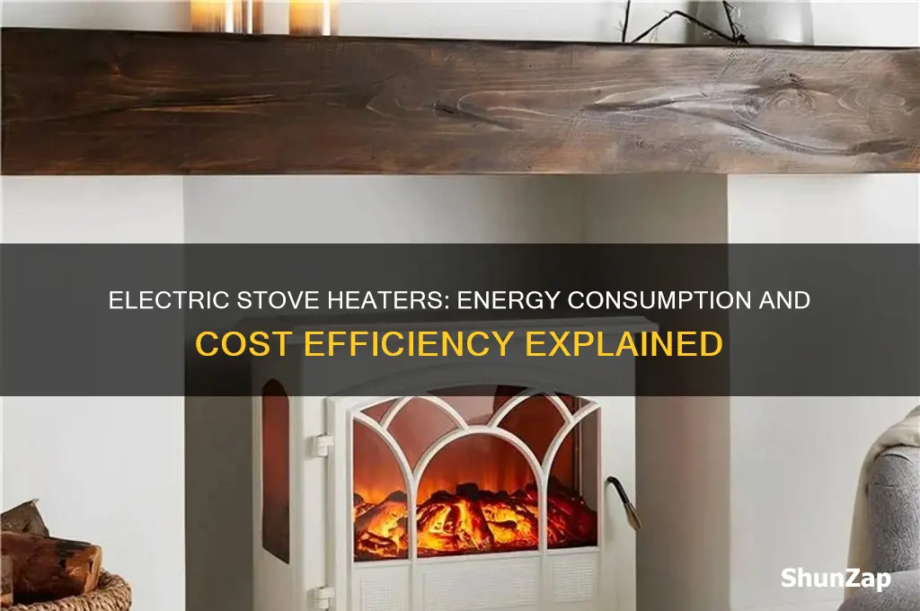 do electric stove heaters use a lot of electricity