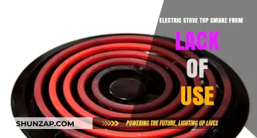 Does Your Electric Stove Top Smoke After Sitting Unused?