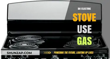 Electric Stoves: Gas-Free Cooking Explained and Common Misconceptions