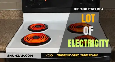 Electric Stoves and Energy Consumption: How Much Electricity Do They Use?