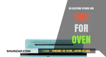 Electric Stoves and Ovens: Do They Use Gas for Cooking?