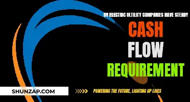 Electric Utility Companies: Stable Cash Flow Requirements?