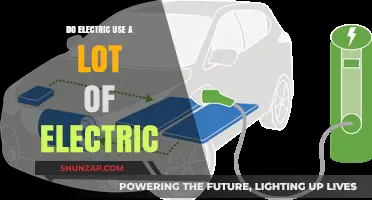 Electric Vehicles: Unraveling Their Actual Electricity Consumption Myths