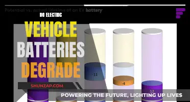 Electric Vehicle Batteries: Degradation and Longevity Explored