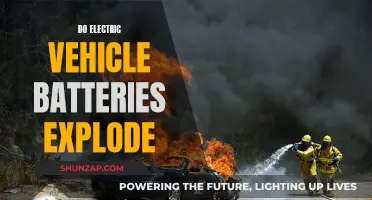 Unraveling the Myth: Do Electric Vehicle Batteries Explode?