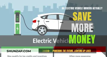 Electric Vehicles: The Ultimate Money-Saving Machine?