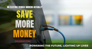 Electric Vehicle Owners: Money Savers or Losers?
