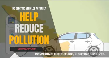 Electric Vehicles: Pollution Solution or Just Hype?