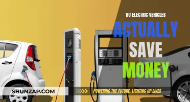 Electric Vehicles: Cost-Effective or Costly?