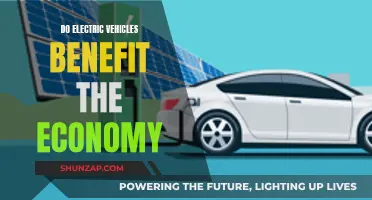 Electric Vehicles: Economic Boon or Bust?