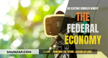 Electric Vehicles: A Green Revolution Boosting the Federal Economy