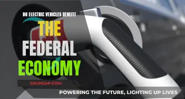 Electric Vehicles: A Federal Economy Boost?