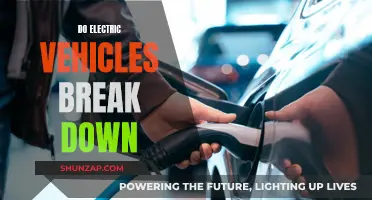 Electric Vehicles: Breakdown and Reliability Insights