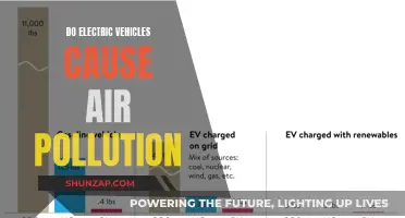 Electric Vehicles: Clean Energy, Clean Air?