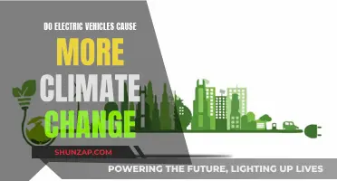 Electric Vehicles: Climate Change Saviours or Pretenders?