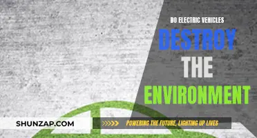 Electric Vehicles: Green Revolution or Environmental Disaster?