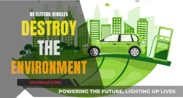 Electric Vehicles: Environmental Friend or Foe?