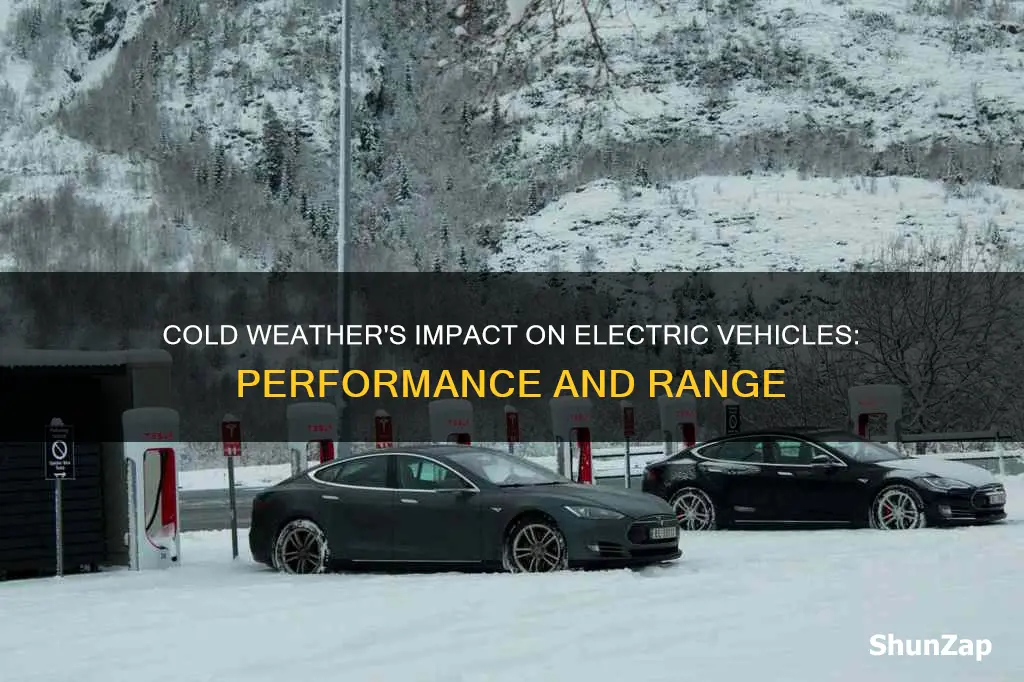 do electric vehicles do well in cold weather