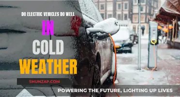 Electric Vehicles: Cold Weather Performance and Challenges
