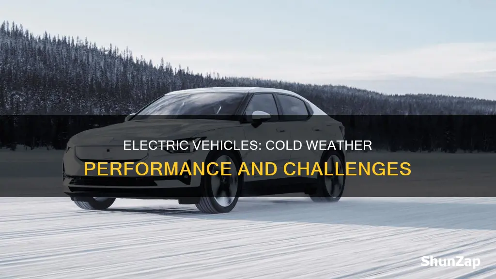 do electric vehicles do well in cold weather
