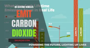 Electric Vehicles: Carbon Emissions and the Environment