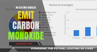 Electric Vehicles: Carbon Monoxide Emission Mystery Solved