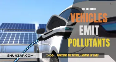 Electric Vehicles: Emission-Free or Polluting the Planet?