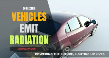 Electric Vehicles: Radiation Emission and Safety Concerns